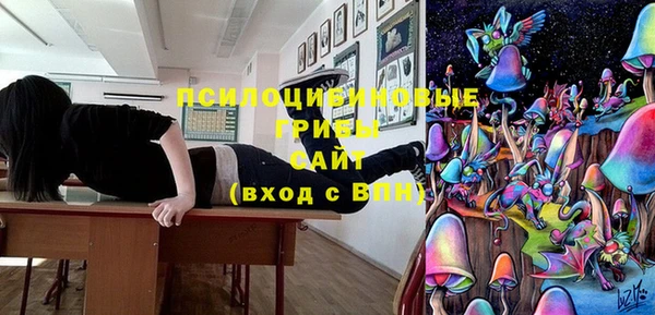 прущие грибы Зеленодольск