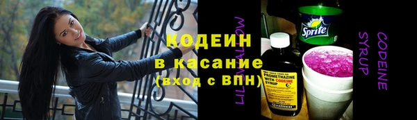 прущие грибы Зеленодольск
