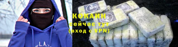 ALPHA PVP Строитель