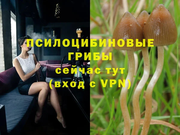 COCAINE Зеленокумск
