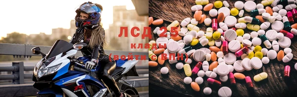 дмт Невельск