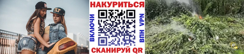 Бошки Шишки VHQ Судогда